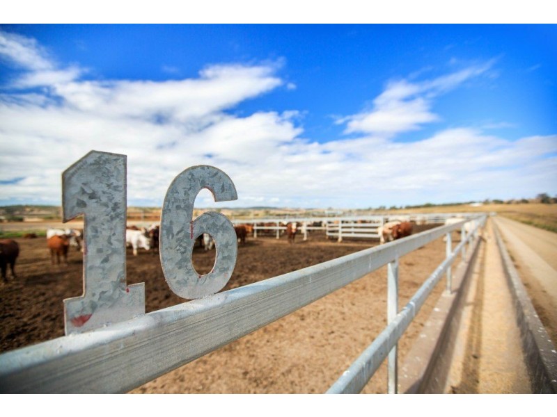 Tansey QLD 4601