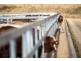 Tansey QLD 4601