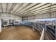 Tansey QLD 4601