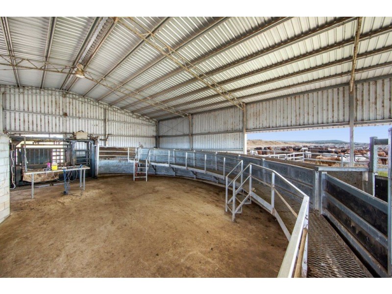 Tansey QLD 4601