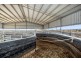Tansey QLD 4601