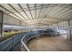 Tansey QLD 4601