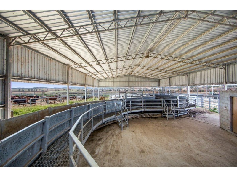Tansey QLD 4601