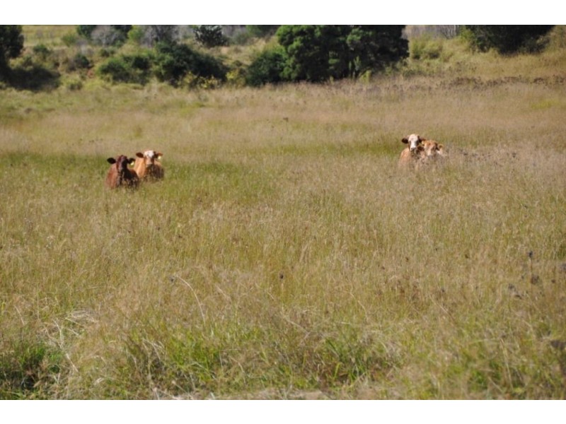 725 Mt Mceuen Road, Wondai QLD 4606