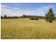 725 Mt Mceuen Road, Wondai QLD 4606