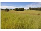 725 Mt Mceuen Road, Wondai QLD 4606