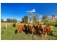 8276 Burnett Highway, Tansey QLD 4601