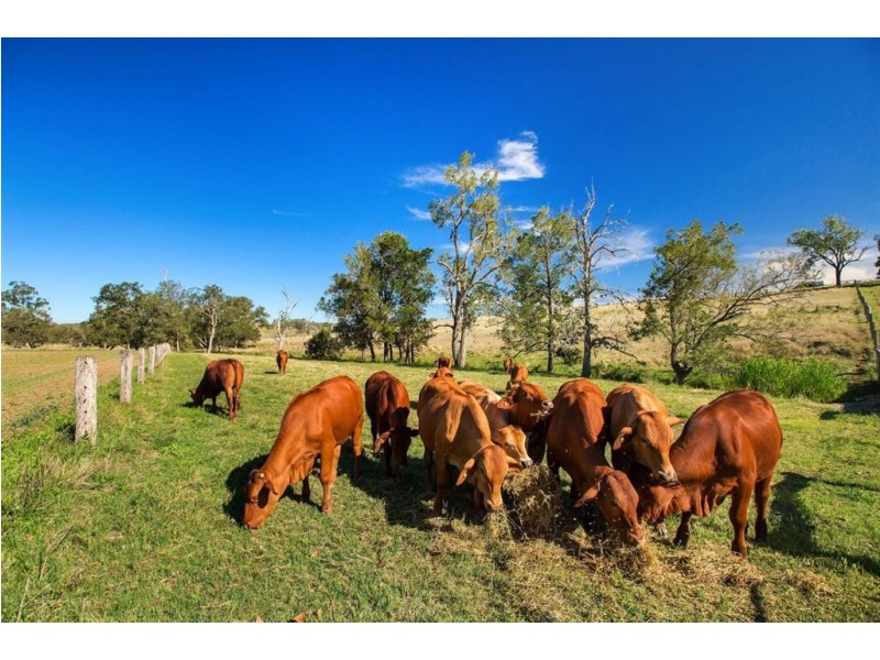 8276 Burnett Highway, Tansey QLD 4601