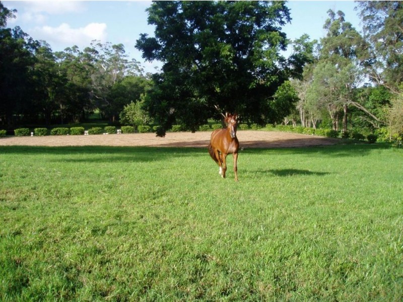 490 Cootharaba road, Cootharaba QLD 4565