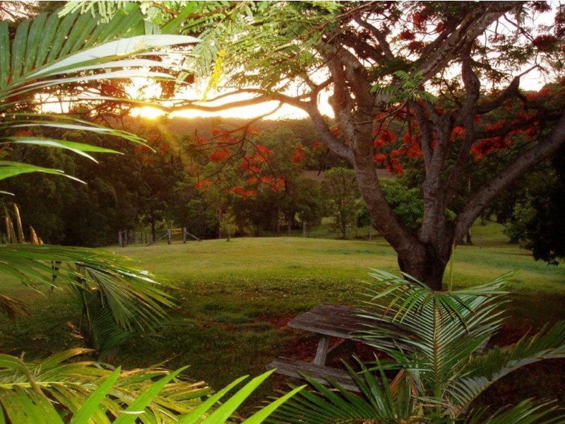 490 Cootharaba road, Cootharaba QLD 4565