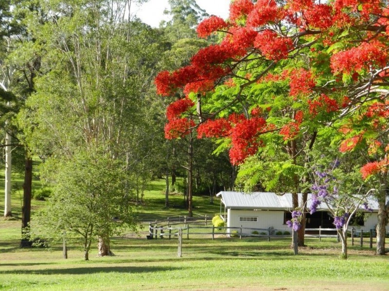 490 Cootharaba road, Cootharaba QLD 4565