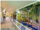 Eumundi QLD 4562
