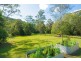 Eumundi QLD 4562