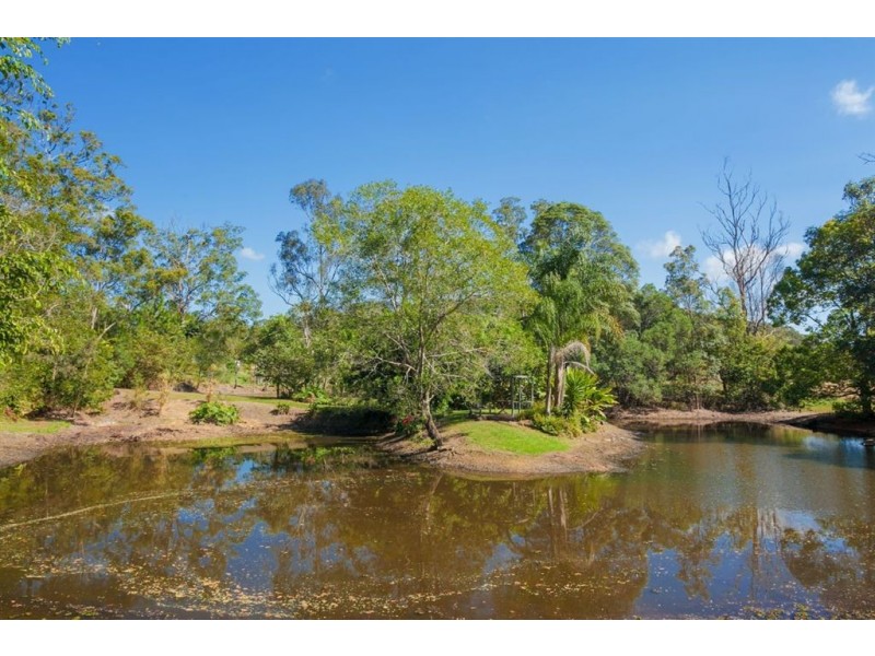 Eumundi QLD 4562