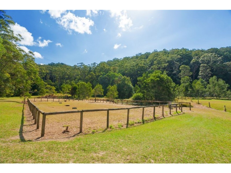 Eumundi QLD 4562