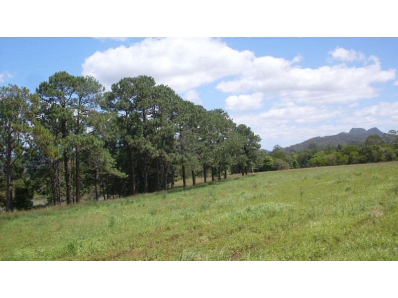 1 Haflinger road, North Arm QLD 4561