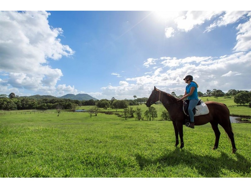 70 Eumundi Range Rd, Eumundi QLD 4562