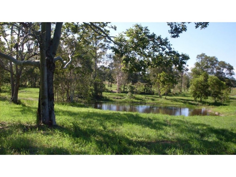 lot 6 racehorse lane, Cooroy QLD 4563