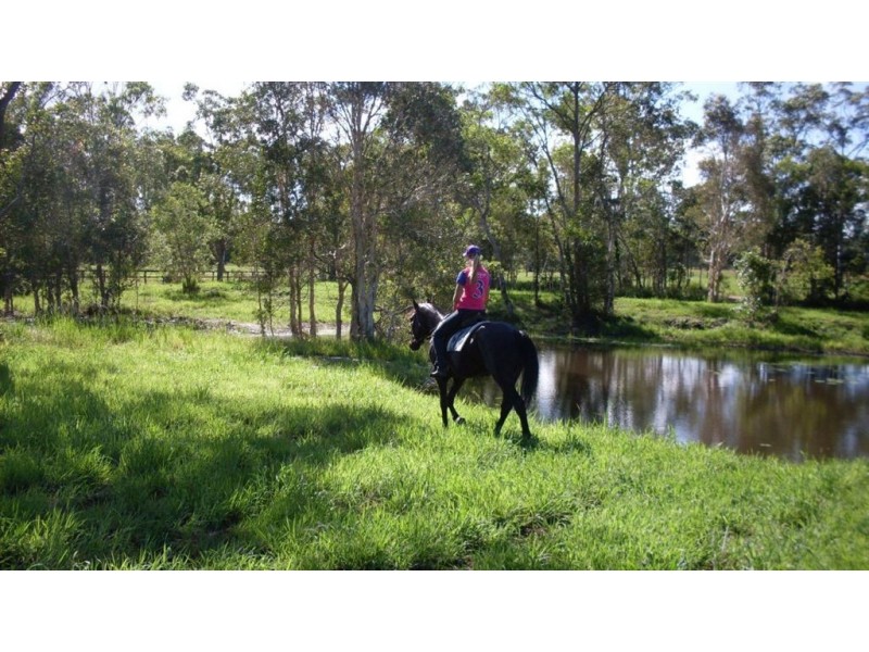 lot 6 racehorse lane, Cooroy QLD 4563