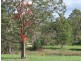 lot 6 racehorse lane, Cooroy QLD 4563