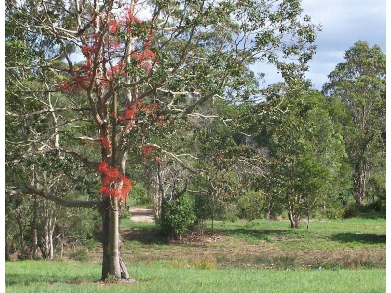 lot 6 racehorse lane, Cooroy QLD 4563