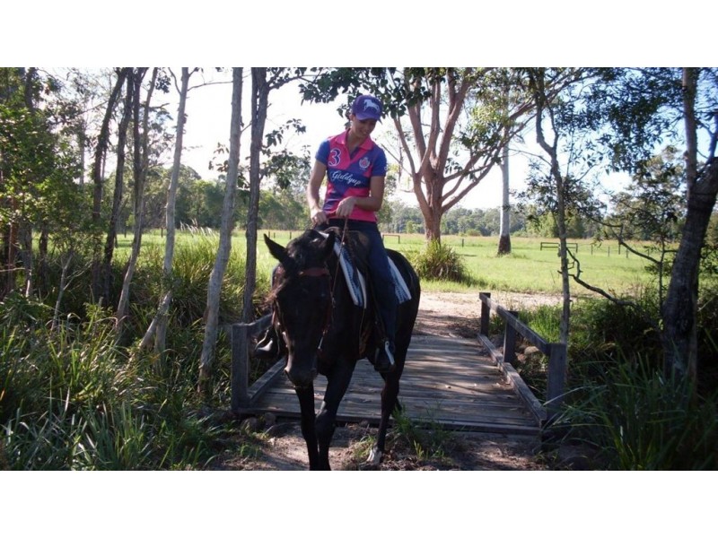 lot 6 racehorse lane, Cooroy QLD 4563