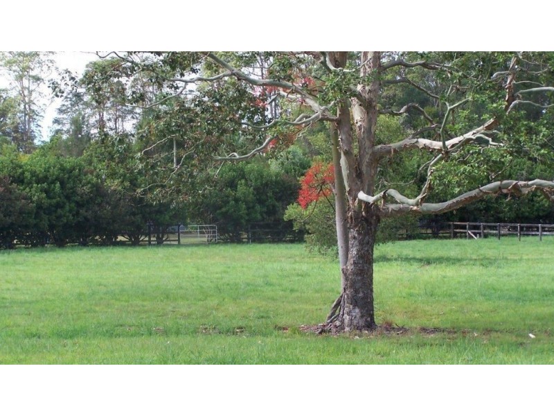 lot 6 racehorse lane, Cooroy QLD 4563