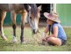 585 glenview rd, Glenview QLD 4553