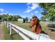 585 glenview rd, Glenview QLD 4553