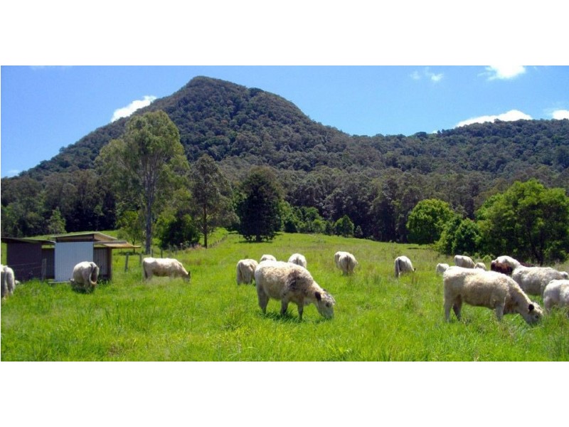 Eerwah Vale QLD 4562