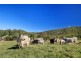 477 Gold Creek Rd, Eerwah Vale QLD 4562