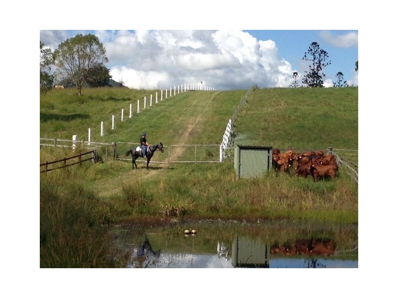 118 Hoy rd, Lake Macdonald QLD 4563