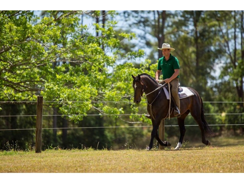 197 Winston Road South, Chevallum QLD 4555