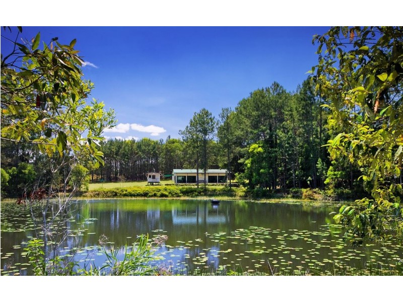 50 Firewheel Road, Ringtail Creek QLD 4565