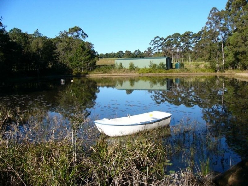 50 Firewheel Road, Ringtail Creek QLD 4565