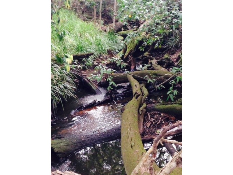 227 Cedar Creek Road, Belli Park QLD 4562