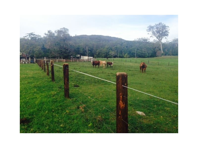 227 Cedar Creek Road, Belli Park QLD 4562