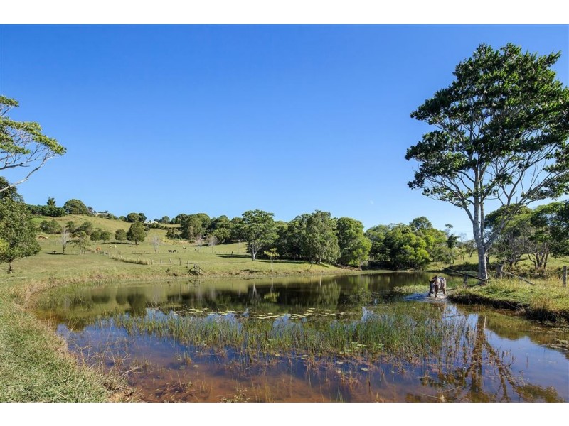 109 Ferrells Road, Cooroy QLD 4563