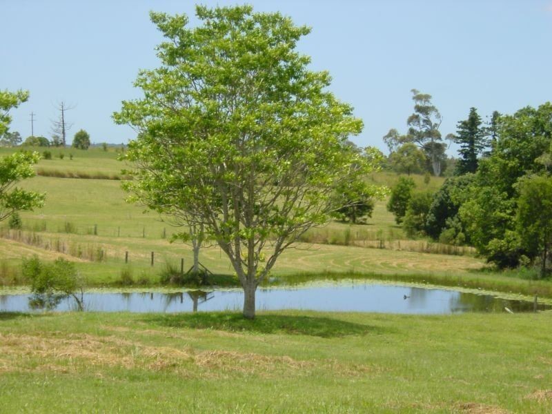 109 Ferrells Road, Cooroy QLD 4563