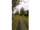 109 Ferrells Road, Cooroy QLD 4563