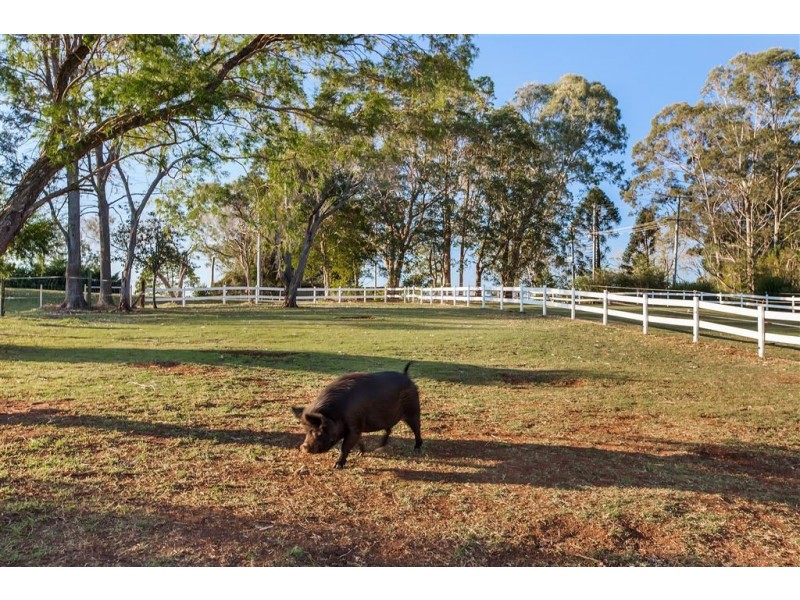 2-26 Woodland Place, Dulong QLD 4560