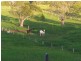 57 Perry Road, Image Flat QLD 4560