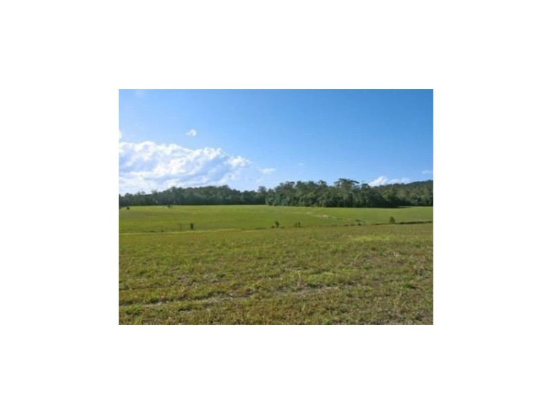 31 Fig Tree Lane, North Arm QLD 4561