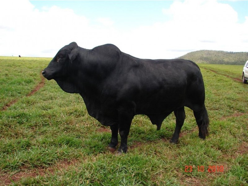 # Salvetti Road, Atherton QLD 4883