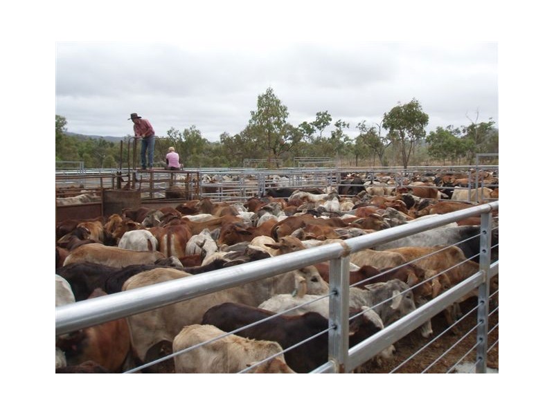 # Wild River Road, Ravenshoe QLD 4888