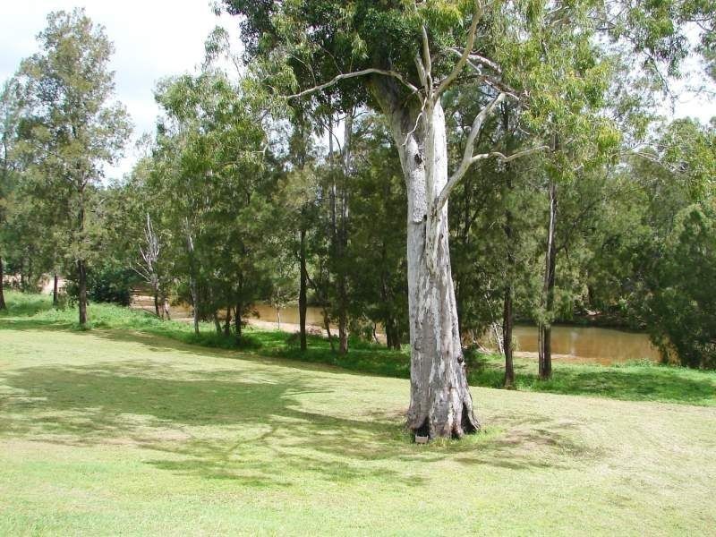 # Wild River Road, Ravenshoe QLD 4888