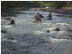 # Wild River Road, Ravenshoe QLD 4888