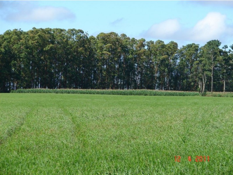 # Griffin Road, Tolga QLD 4882