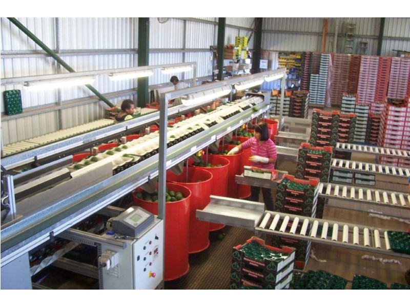 # Mehmet Road, Atherton QLD 4883