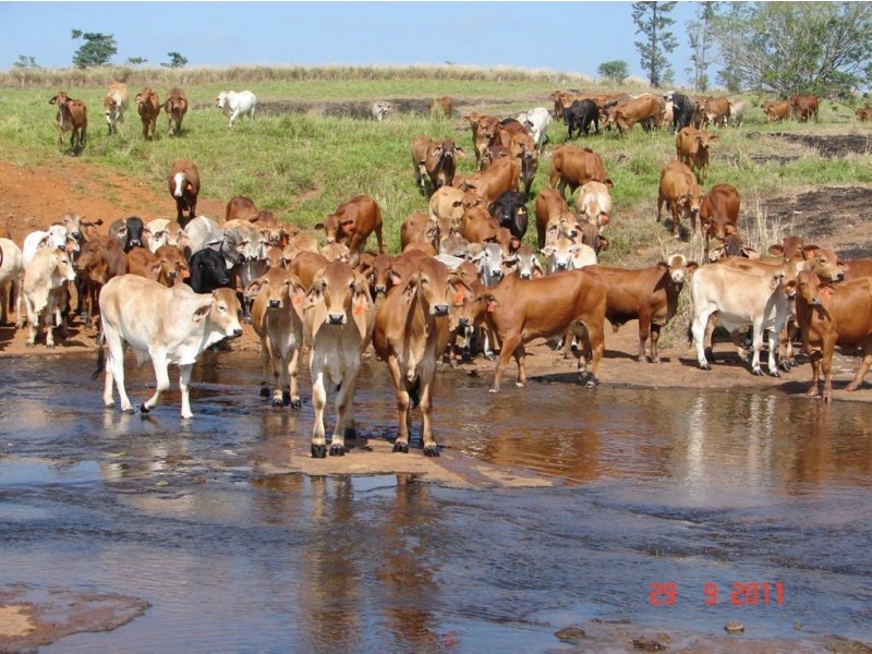 # Palmerston Highway, Innisfail QLD 4860